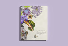 Load image into Gallery viewer, Jane Hammond: Chocolate Cosmos, String of Pearls

